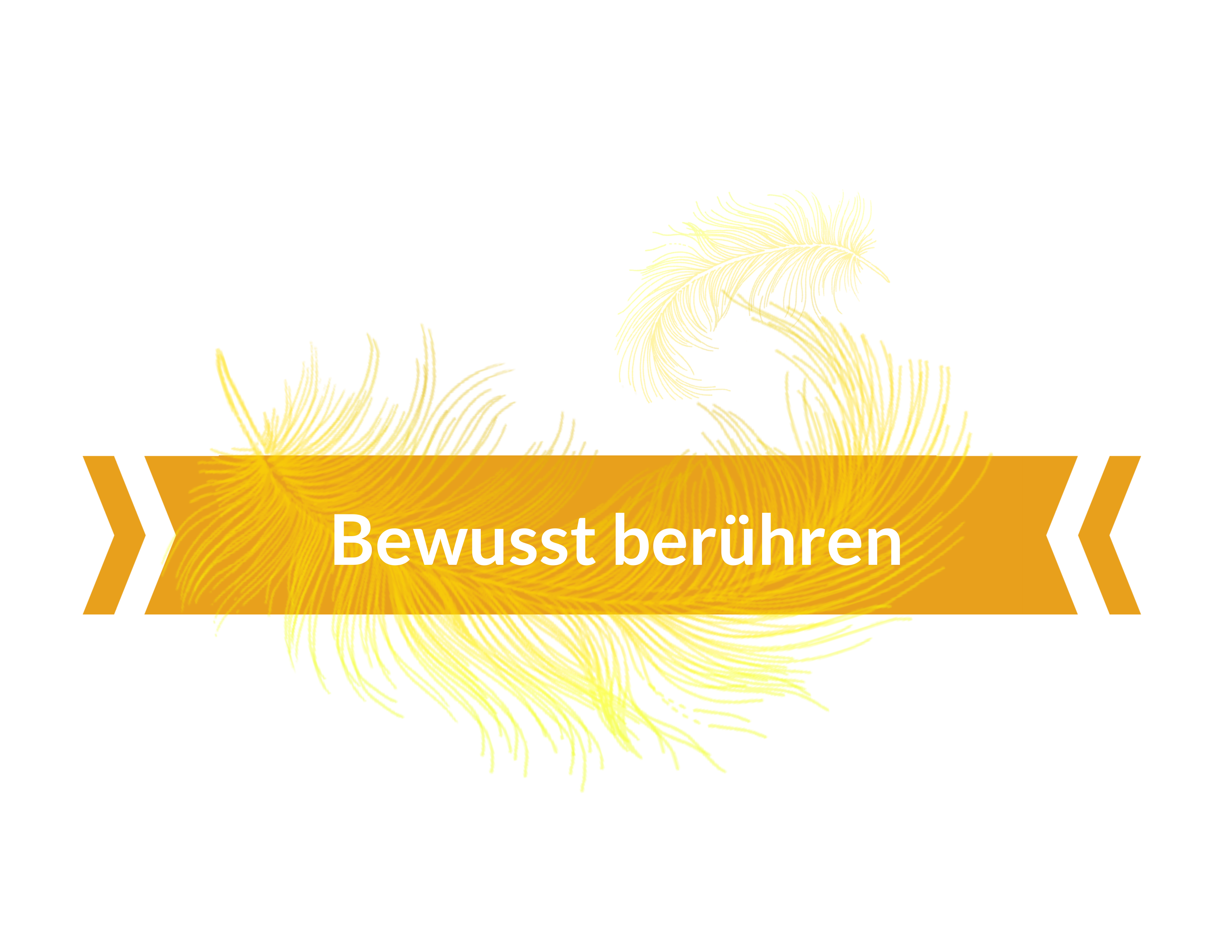Zertifikat-web-bewusst-berhren